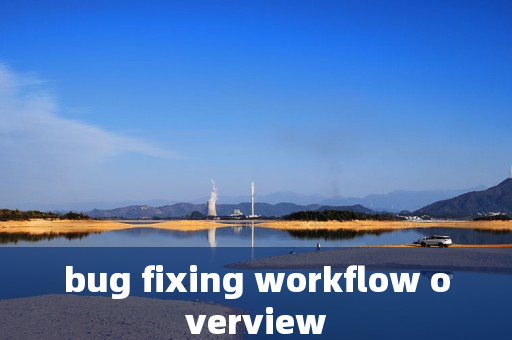 bug fixing workflow overview